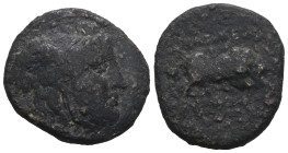 Seleukid Kingdom, Seleukos I Nikator, AE, 312-281 BC. Weight 5,99 gr - Diameter 19 mm.