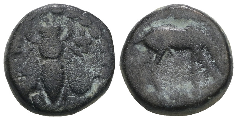 Ionia. Ephesos circa 387-285 BC. Weight 4,94 gr - Diameter 12 mm.