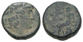 Seleukid Kings of Syria. Seleukos III (225/4-222 BC). Æ. Weight 3,17 gr - Diameter 11 mm.