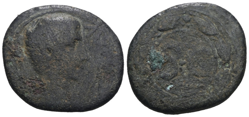 Augustus, 27 BC – 14 AD. Weight 8,74 gr - Diameter 22 mm.