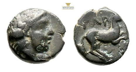 TROAS. Gargara, circa 4th century BC. AE (0,55 g; 8,1 mm) 
Obv. Laureate head of...