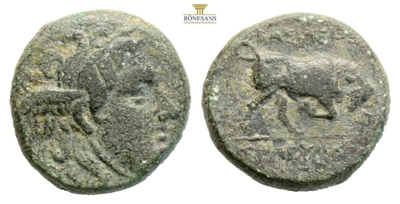 SELEUKID KINGDOM. Seleukos I Nikator, 312-281 BC. AE (6,27 g; 18,2 mm) 
Obv. Win...