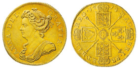 British Coins
Anne (1702-1714) - Gold 2 Guineas 1714/3 - Mint: London - Obverse: Crowned bust left - Reverse: Sceptres among cruciform arms - gr. 16,...