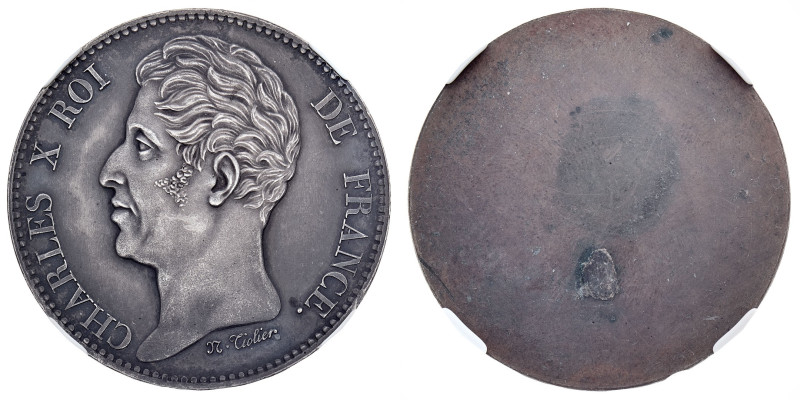 Worldwide Coins
France
Charles X (1824-1830) - Silvered copper Essai uniface (...