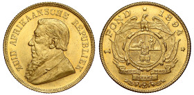 South Africa, Z.A.R., Paul Kruger, gold Pond, 1894, bust left, legend ZUID AFRIKAANSCHE REPUBLIEK, rev. circular shield of arms over flags, eagles abo...