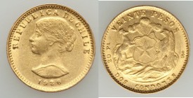 Republic gold 20 Pesos 1926/4-So Good XF (surface hairlines), Santiago mint, KM168. 19mm. 4.06gm. AGW 0.1177 oz.

HID09801242017
