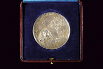 Colonial silver medal