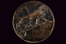A bronze medal
