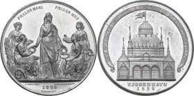 Denmark. White metal medal, Copenhagen, 1888. For the Nordic Industry, Agriculture and Art Exhibition. Obv. Allegoric figures of agriculture, industry...