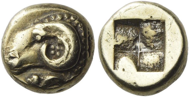 Phocaea 

Hecte circa 480, EL 10 mm, 2.51 g. Ram's head l.; beneath, seal l. R...