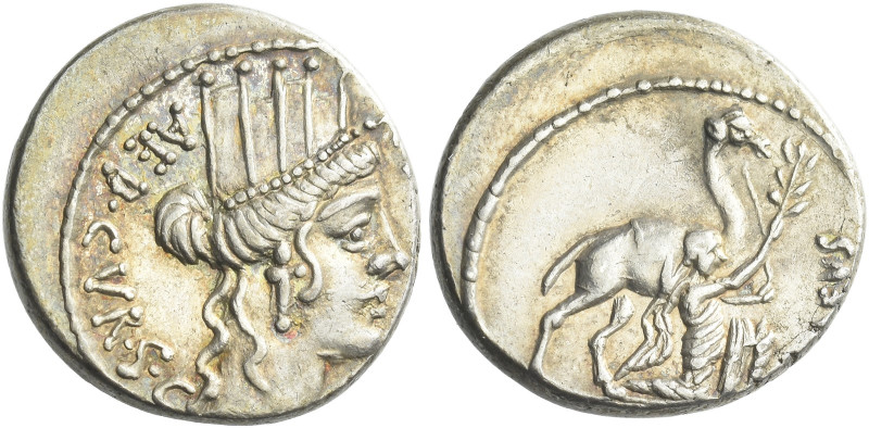 A. Plautius. Denarius 55, AR 17 mm, 3.99 g. A·PLAVTIVS – AED·CVR·S·C Head of Cyb...