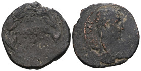 Octavian as Augustus, 27 BC – 14 AD. Weight 7,85 gr - Diameter 25 mm.