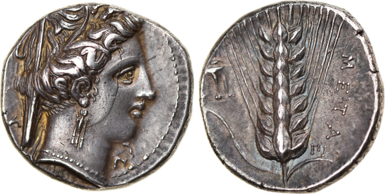 Lucania, Nomos, ca. 340-330 BC, Metapontum, Silver, NGC, Ch XF 5/5 5/5
Veiled h...