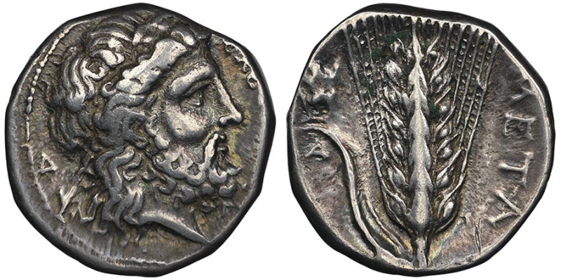 Statère, Metapontion, 340-330 avant J.C., AG 7.81 g. Avers : Zeus à droite, deva...