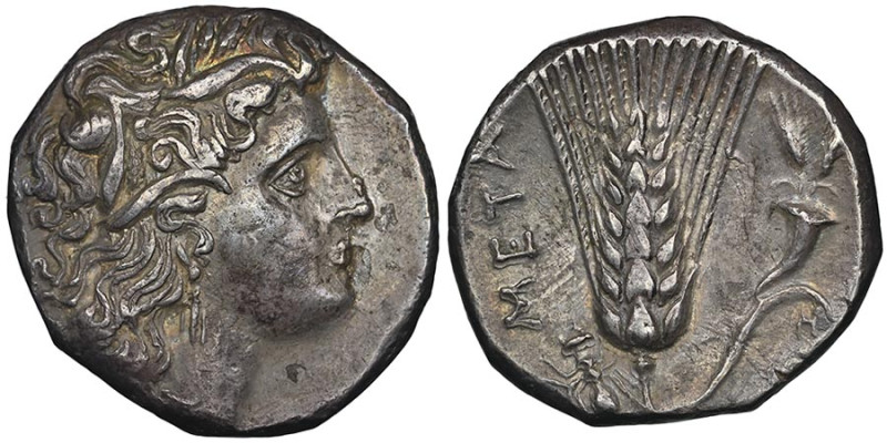 Statère, Metapontion, AG 7.67 g.
Avers : Tête de Déméter à droite, portant une c...