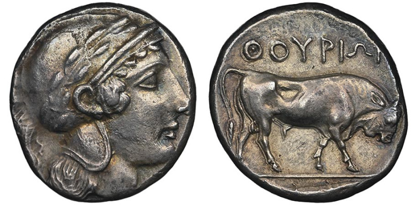 Thurium 
Statère, 443-400 avant J.C., AG 7.83 g.
Avers : Tête d'Athéna avec cour...