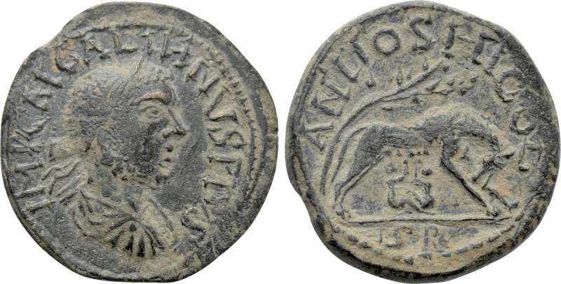 PISIDIA. Antioch. Gallienus (253-268). Ae. 

Obv: IMP CAI GALIHNVS PIVS. 
Lau...