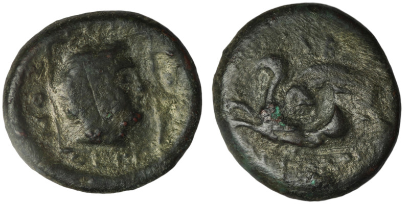 THRACE. Abdera. (circa 385-347 BC)
AE Bronze (20mm, 5,77g)