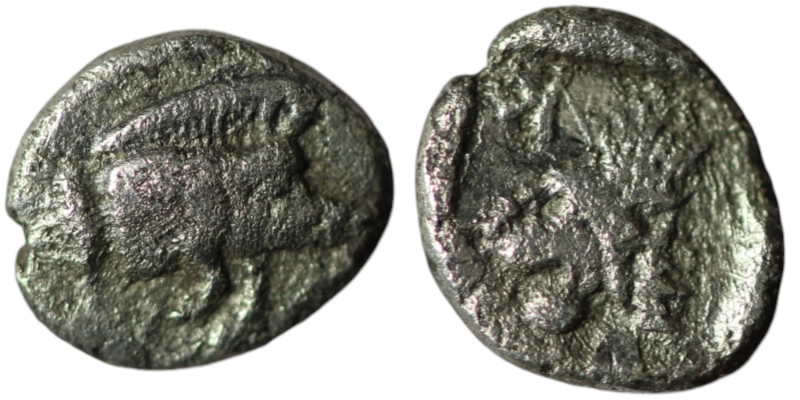 MYSIA. Kyzikos. (Circa 450-400 BC).
AR Hemiobol (7mm, 0,26g)