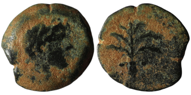 SELEUKID KINGS of SYRIA. Demetrios II Nikator, second reign (130-125 BC). Tyre m...