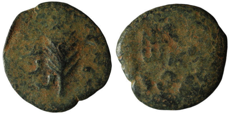 JUDAEA. Prutah. Porcius Festus, Procurator of Judea under Nero (AD 59-62)
AE Bro...