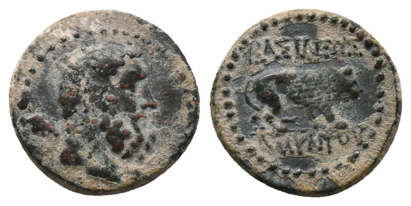 KINGS OF GALATIA. Amyntas (36-25 BC). Ae.
Obv: Bearded and bare head of Herakle...