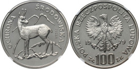 PRL, 100 złotych 1979, Kozica, PRÓBA, nikiel