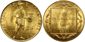 Netherlands, Wilhelmina, Ducat 1928