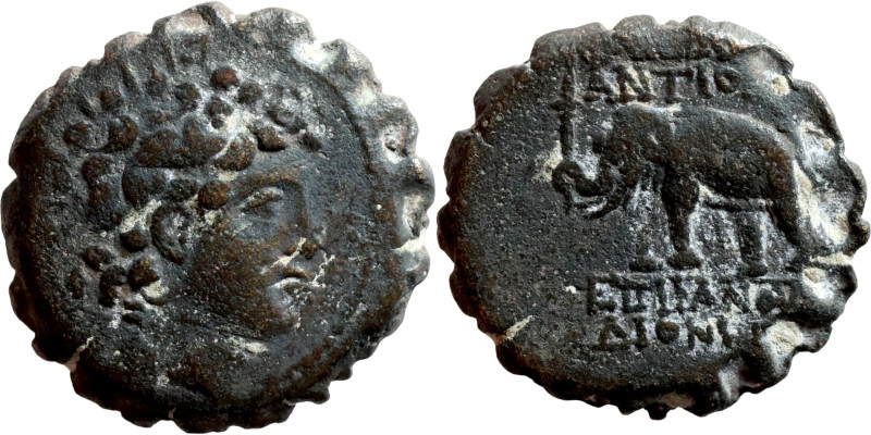 SELEUKID KINGS of SYRIA. Antiochos VI Dionysos, 144-142 BC. Ae Serrate, Antioch ...