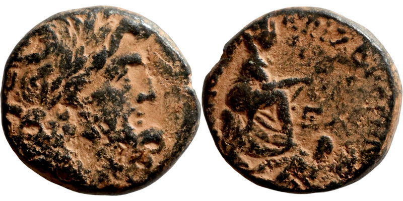 SELEUCIS and PIERIA, Antioch. Pseudo-autonomous issue. temp. Augustus, 27 BC-AD ...