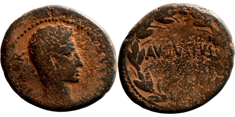 Uncertain Syrian mint. Augustus ( ). AE Bronze. Obv.: CAESAR; bare head of Augus...