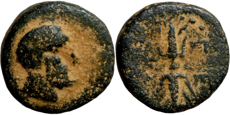 Roman Empire Bronze

12mm 2,05g

Artificial sand patina