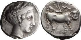 Campania, Neapolis. Didrachm; Campania, Neapolis; 395-385 BC, Didrachm, 7.46g. SNG ANS-294. Obv: Portrait of Pathenope. Rx: Man-headed bull advancing ...