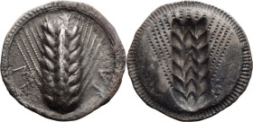 Lucania, Metapontum. AR Nomos; Lucania, Metapontum; c. 540-510 BC, Nomos, 7.55g. Noe, Johnson-92, SNG ANS-198, HN Italy-1470. Obv: Barley ear, ME to l...