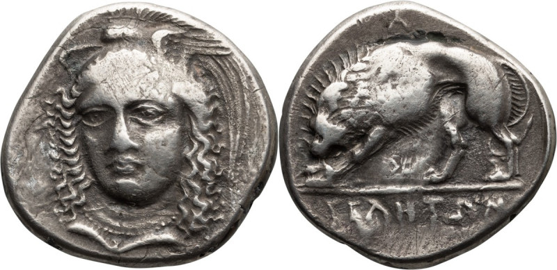 Lucania, Velia. Didrachm; Lucania, Velia; 340-300 BC, Didrachm, 7.04g. In the st...