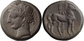 Zeugitania, Carthage. AR Tridrachm; Zeugitania, Carthage; Group 4, 210-205 BC, Tridrachm, 10.77g. Lorber-236 (this coin). Obv: Head of Tanit l. Rx: Ho...