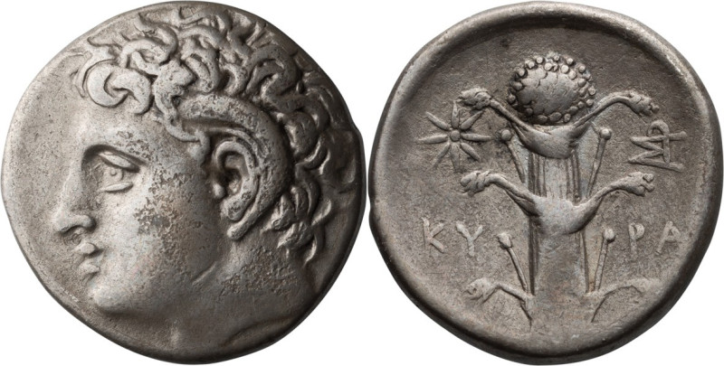Cyrenaica, Cyrene. Didrachm; Cyrenaica, Cyrene; c. 305-300 BC, Didrachm, 7.61g. ...
