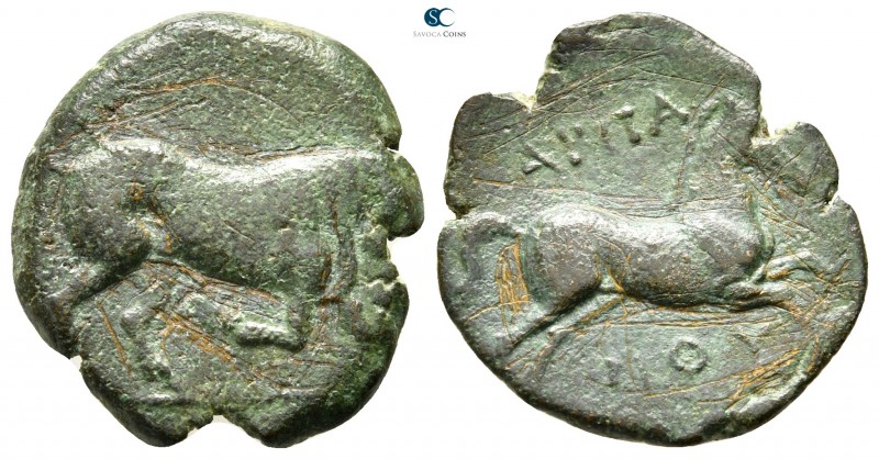 Apulia. Arpi 275-250 BC. 
Bronze Æ

20 mm., 4,28 g.



very fine