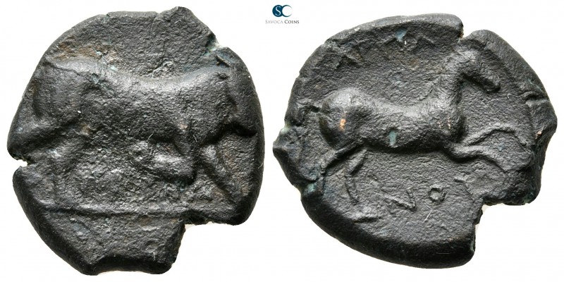 Apulia. Arpi circa 275-250 BC. 
Bronze Æ

21 mm., 7,38 g.



very fine