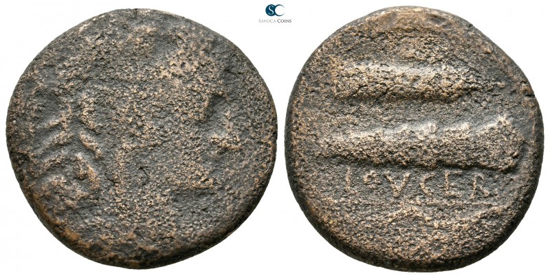 Apulia. Luceria 211-200 BC. 
Bronze Æ

24 mm., 9,42 g.



very fine