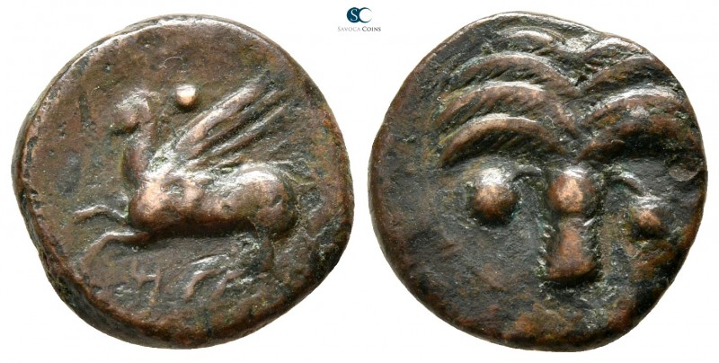 Sicily. Carthaginian Domain circa 330-320 BC. 
Bronze Æ

15 mm., 3,11 g.

...