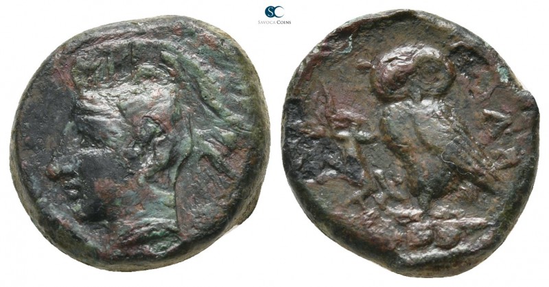 Sicily. Kamarina circa 420-405 BC. 
Tetras Æ

14 mm., 3,79 g.



very fin...