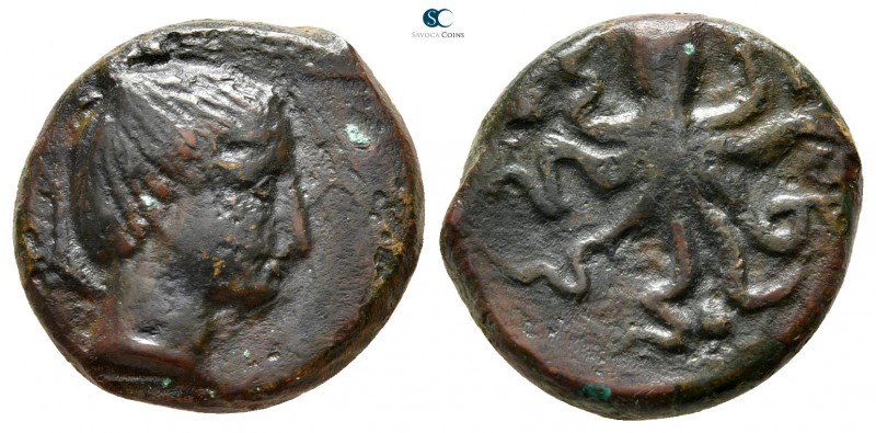 Sicily. Syracuse. Second Democracy 466-405 BC. 
Tetras Æ

16 mm., 4,19 g.

...