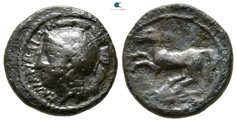 Sicily. Syracuse 339-300 BC. 
Bronze Æ

16 mm., 3,16 g.



nearly very fi...