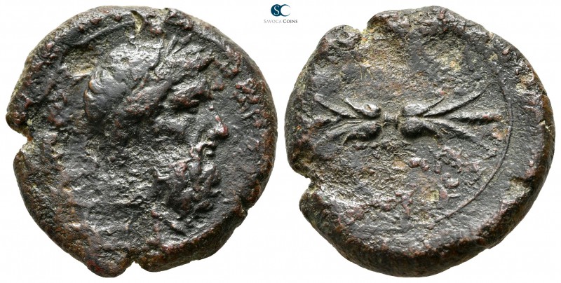 Sicily. Syracuse 339-334 BC. 
Hemidrachm Æ

25 mm., 12,30 g.



nearly ve...