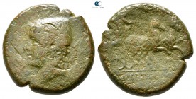 Sicily. Syracuse 287-283 BC. Bronze Æ