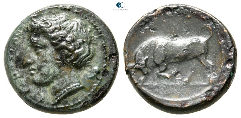 Sicily. Syracuse. Hieron II 275-215 BC. 
Hemilitron Æ

15 mm., 3,77 g.


...