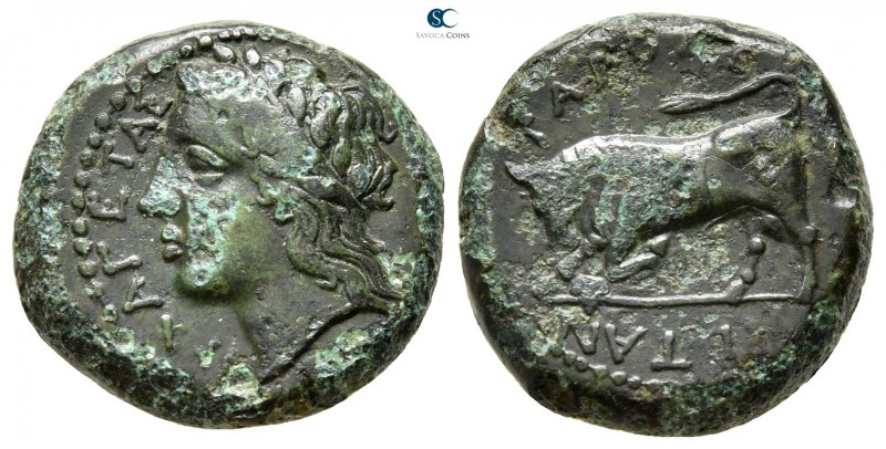 Sicily. Tauromenion circa 350-300 BC. 
Bronze Æ

17 mm., 5,88 g.



very ...