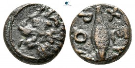 The Thracian Chersonese. Chersonesos 386-309 BC. Bronze Æ