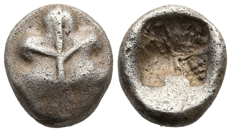 ISLANDS off CARIA. Rhodos. Kamiros. (circa 550-500 BC).
AR Obol (8,2mm 0,69g)
...